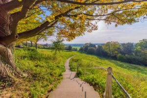 Scenic view of Richmond park walking path